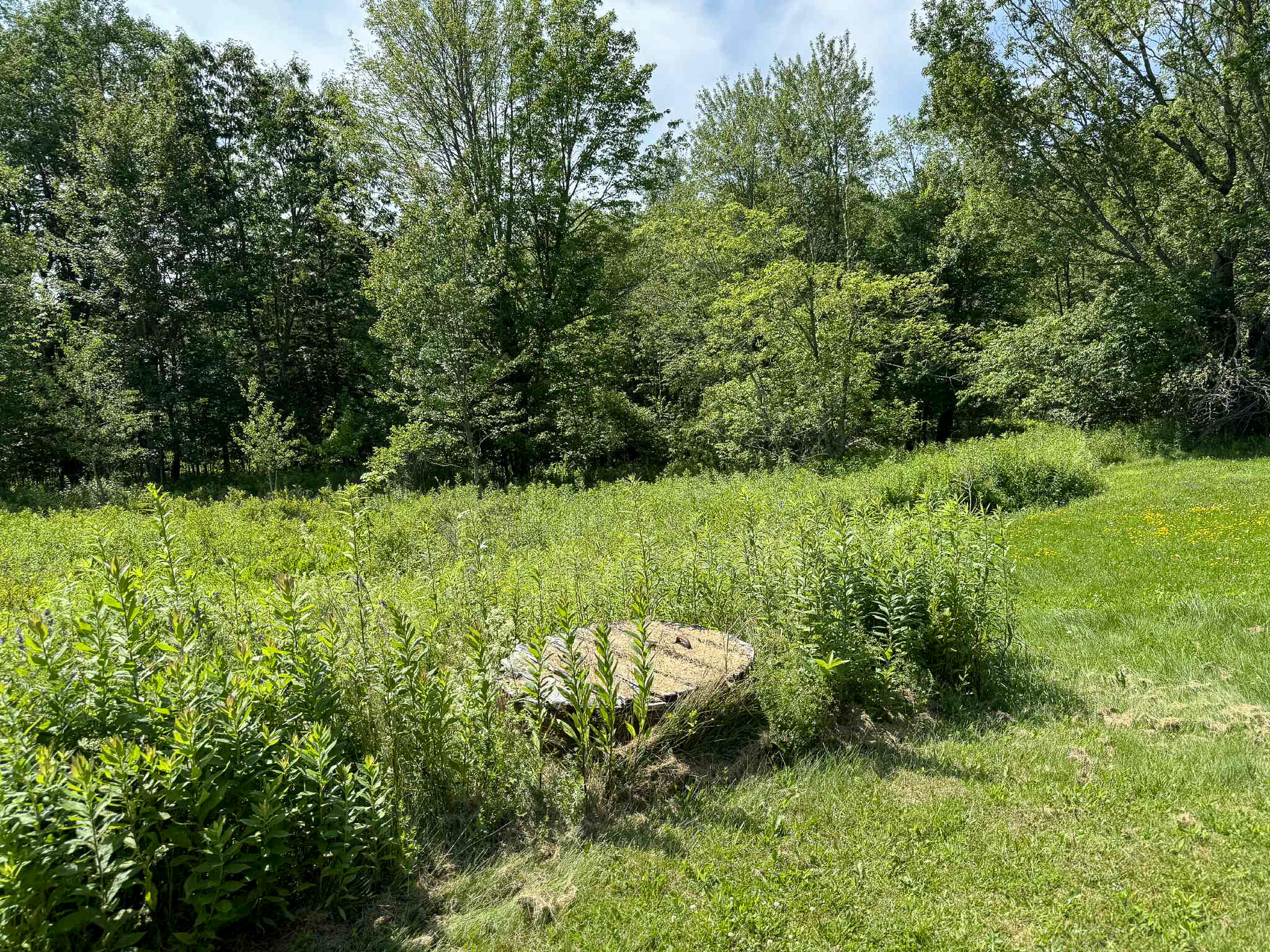 249 Blacks Woods Road Cherryfield ME 04622