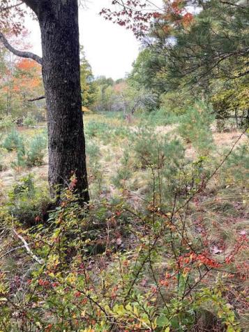 MAP4LOT3 E Bucksport Road Orrington ME 04474