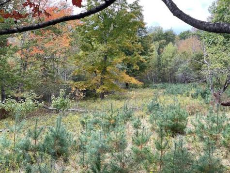 MAP4LOT3 E Bucksport Road Orrington ME 04474