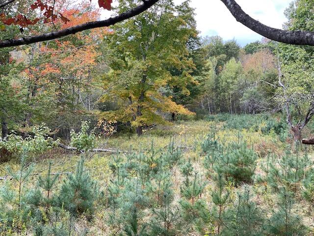 MAP4LOT3 E Bucksport Road Orrington ME 04474