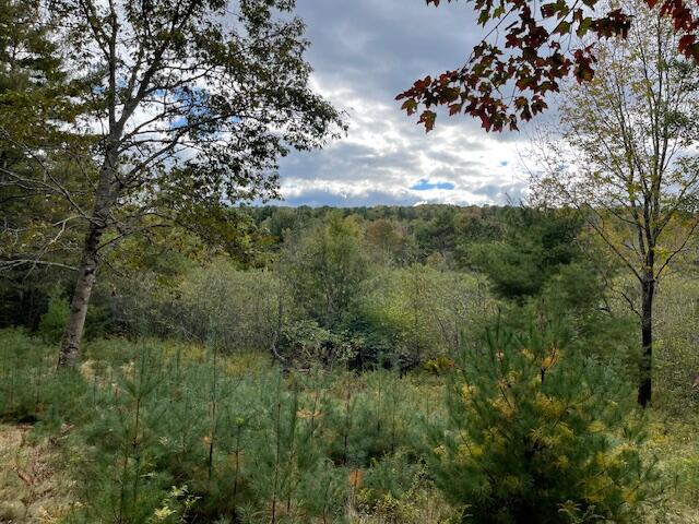 MAP4LOT3 E Bucksport Road Orrington ME 04474