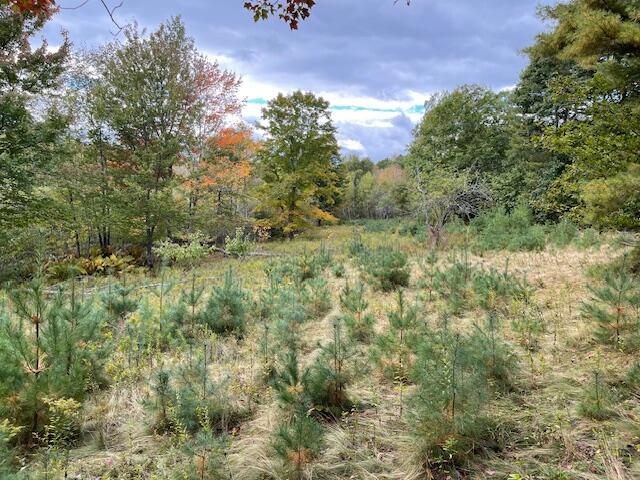 MAP4LOT3 E Bucksport Road Orrington ME 04474