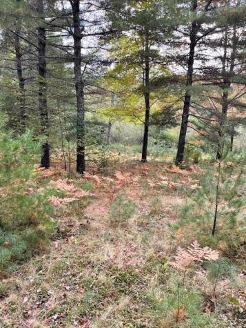 MAP4LOT3 E Bucksport Road Orrington ME 04474