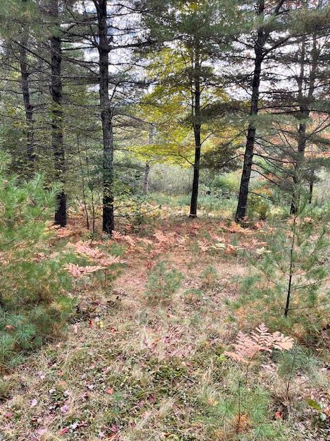 MAP4LOT3 E Bucksport Road Orrington ME 04474