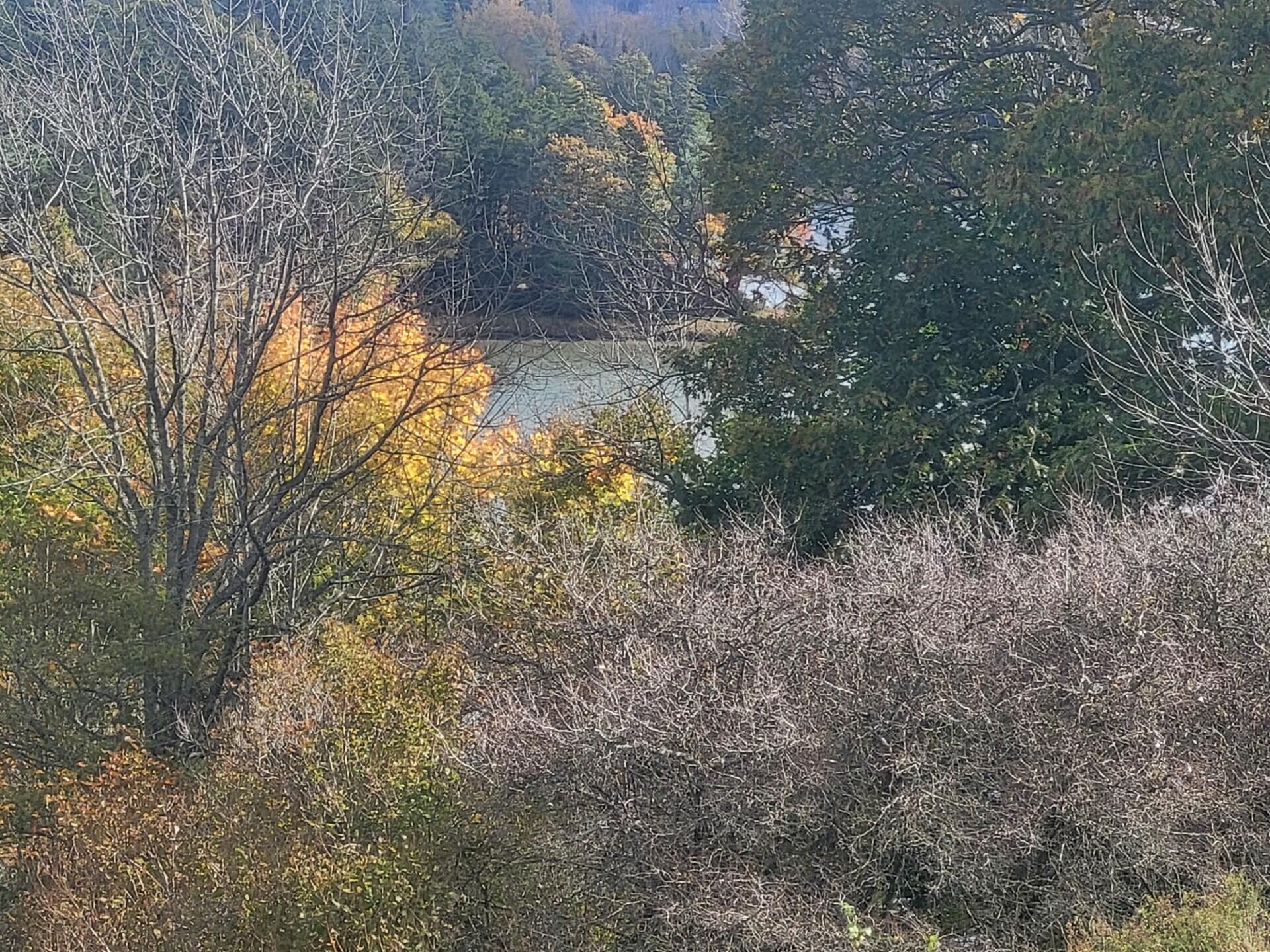 715 River Road Cushing ME 04563