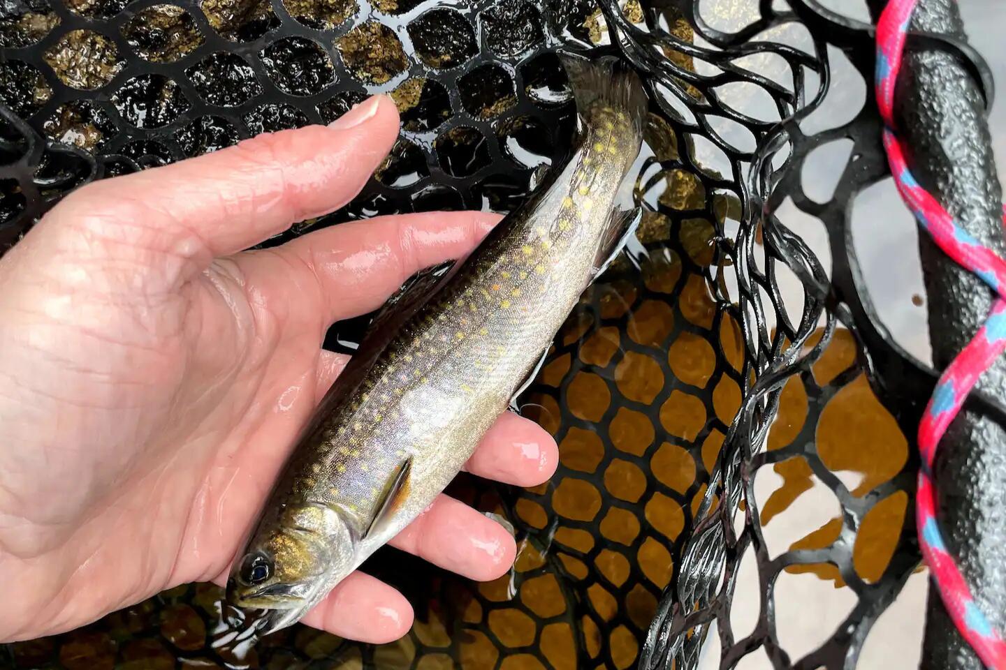 1080 Norway Road Harrison ME 04040