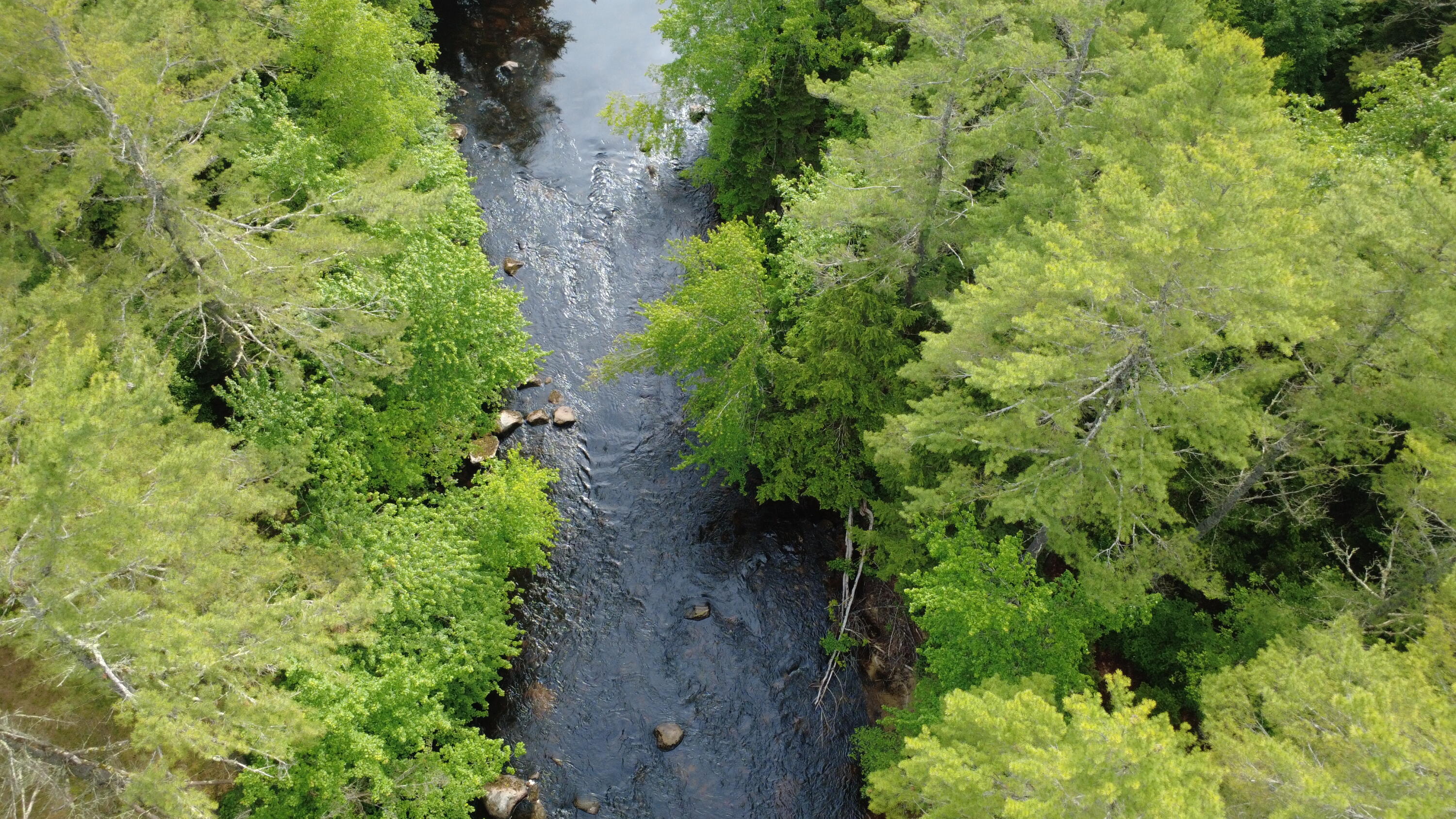 1080 Norway Road Harrison ME 04040