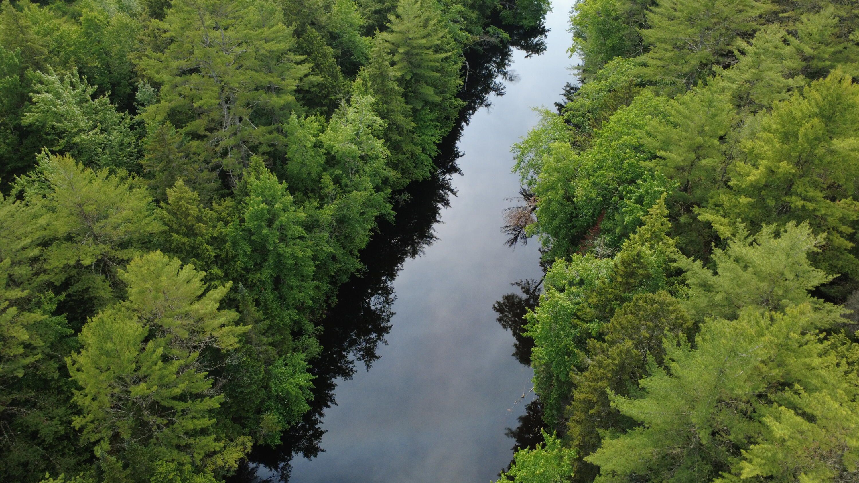 1080 Norway Road Harrison ME 04040