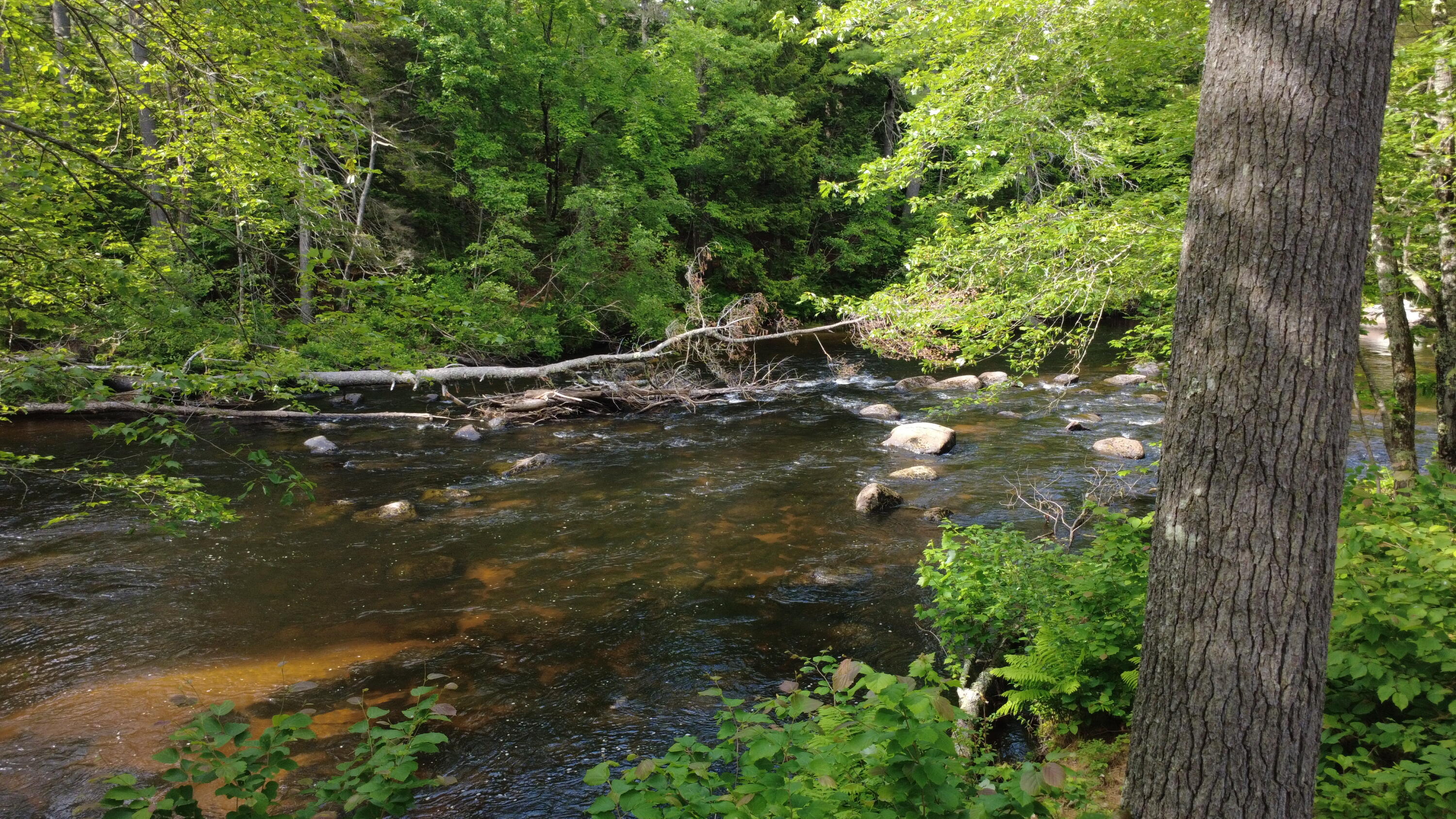 1080 Norway Road Harrison ME 04040