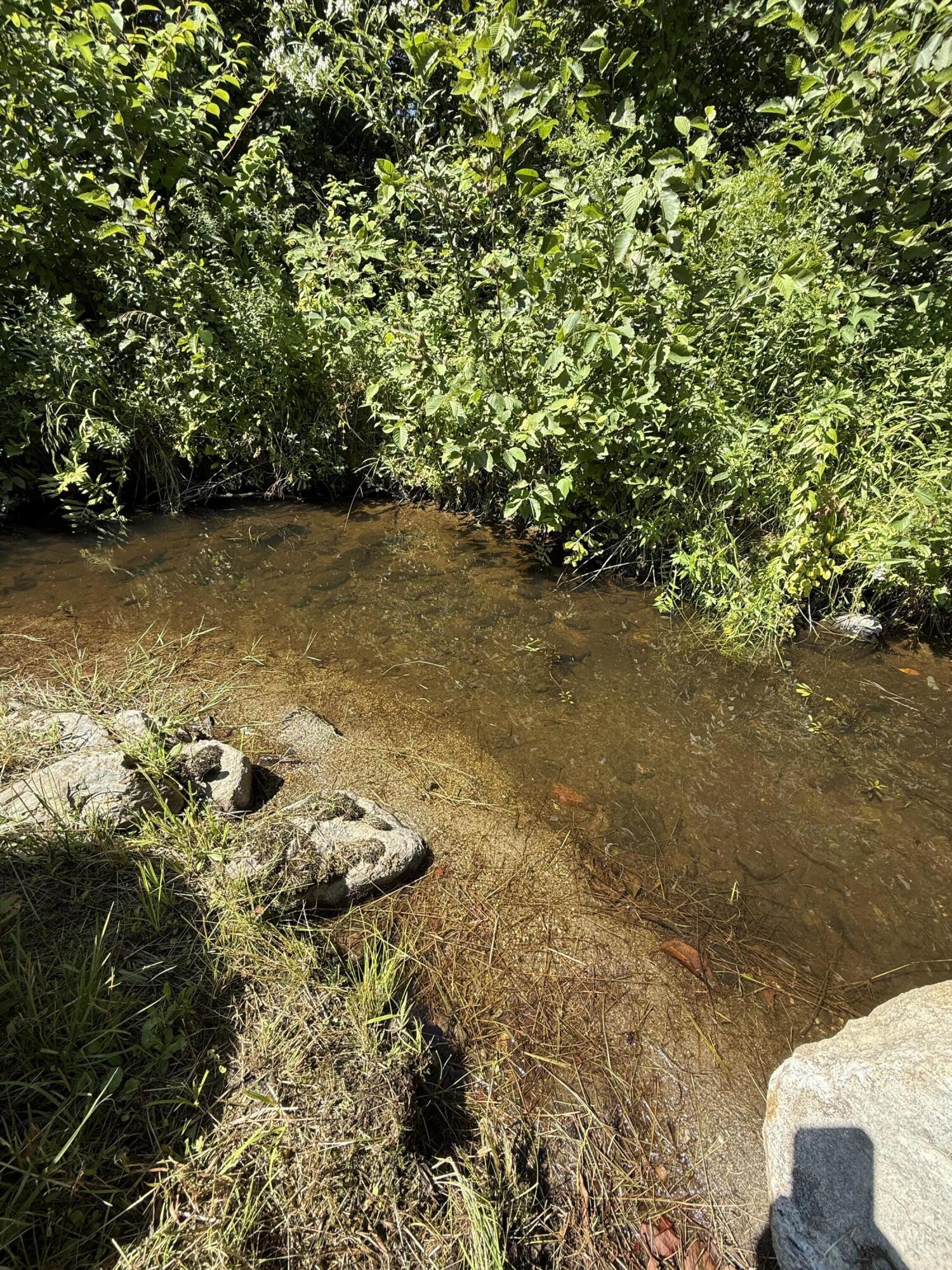 634 Pleasant Street Blue Hill ME 04614