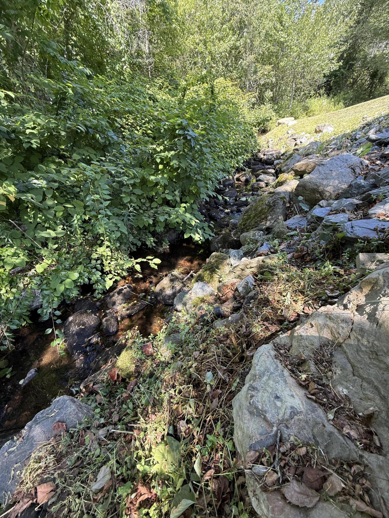 634 Pleasant Street Blue Hill ME 04614