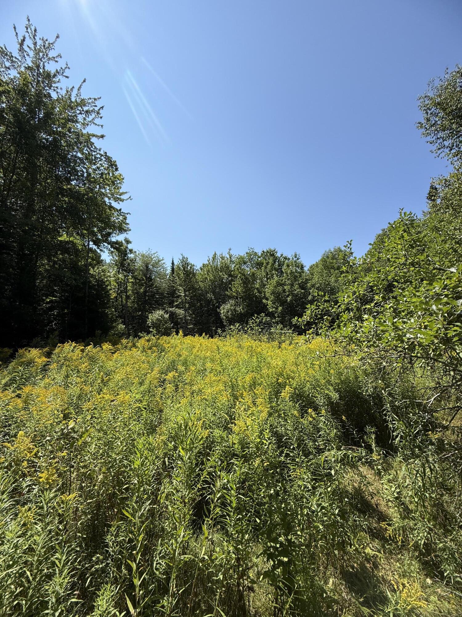 634 Pleasant Street Blue Hill ME 04614