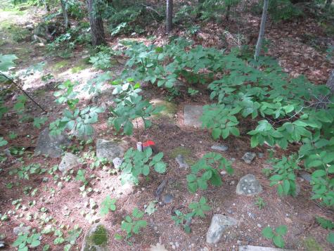 212 Peninsula Drive Rome ME 04963