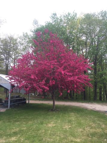 956 Goose Pond Road Shapleigh ME 04076