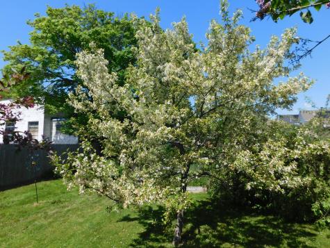 56 Allen Street Bangor ME 04401