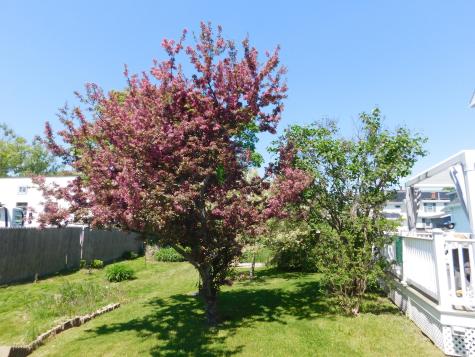 56 Allen Street Bangor ME 04401