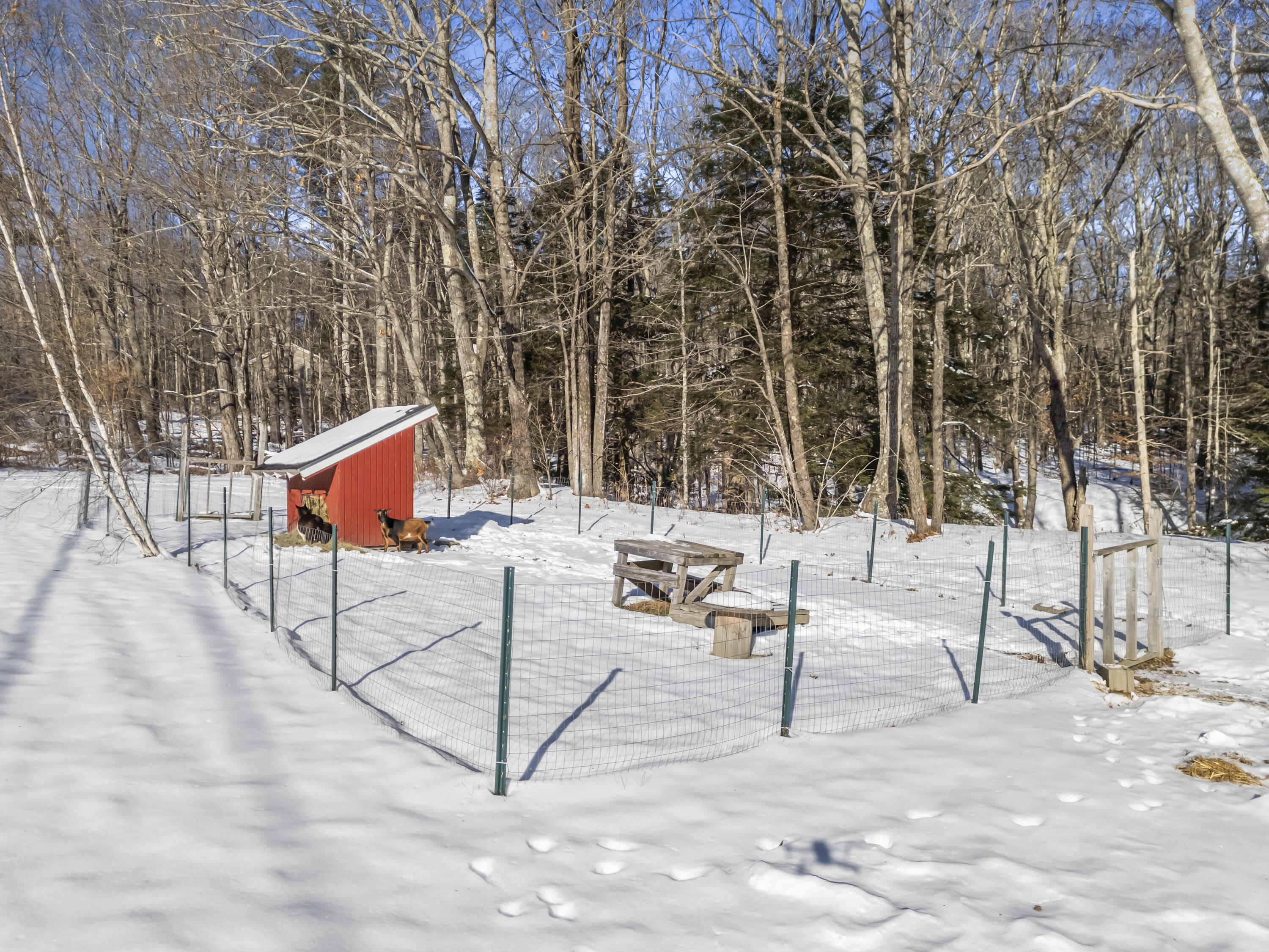 81 Lewis Hill Road Bowdoin ME 04287