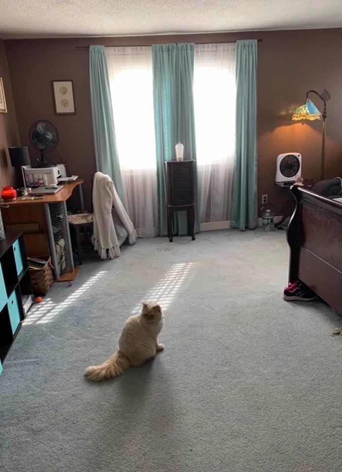 714 Morrills Mill Road North Berwick ME 03906