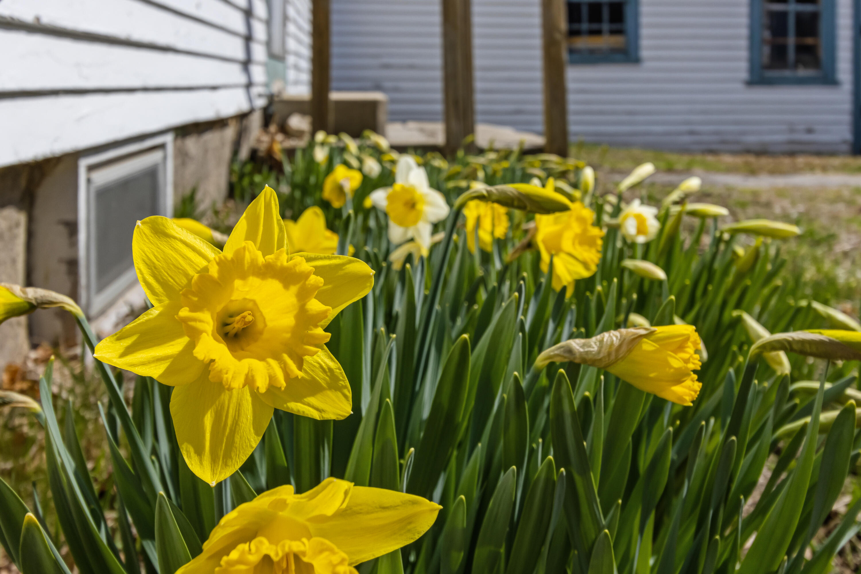 982 King Street Oxford ME 04270