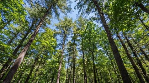 631 Johnson Hill Road Poland ME 04274