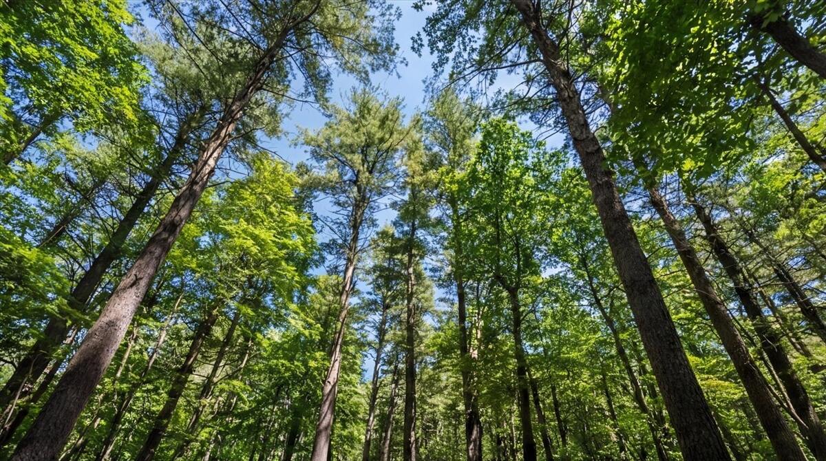 631 Johnson Hill Road Poland ME 04274