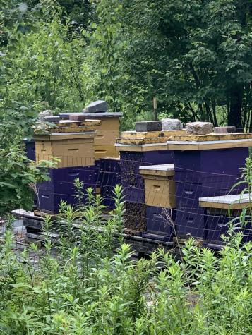 25 Bucksmills Road Bucksport ME 04416