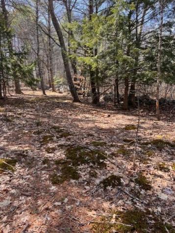 340 Emery Corner Road Limerick ME 04048