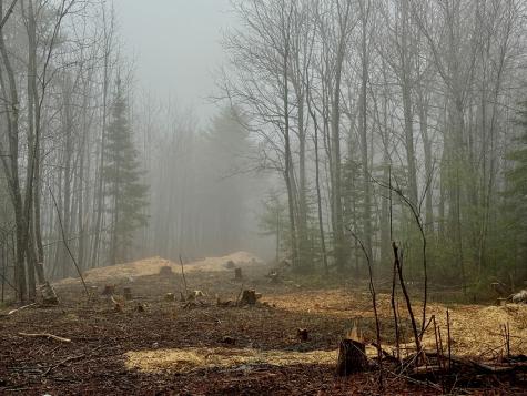 0 Ivory Hill Road Otisfield ME 04270