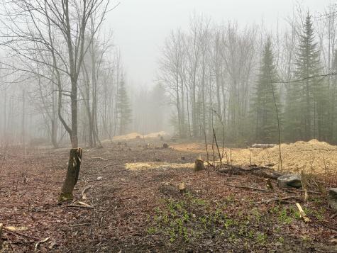 0 Ivory Hill Road Otisfield ME 04270