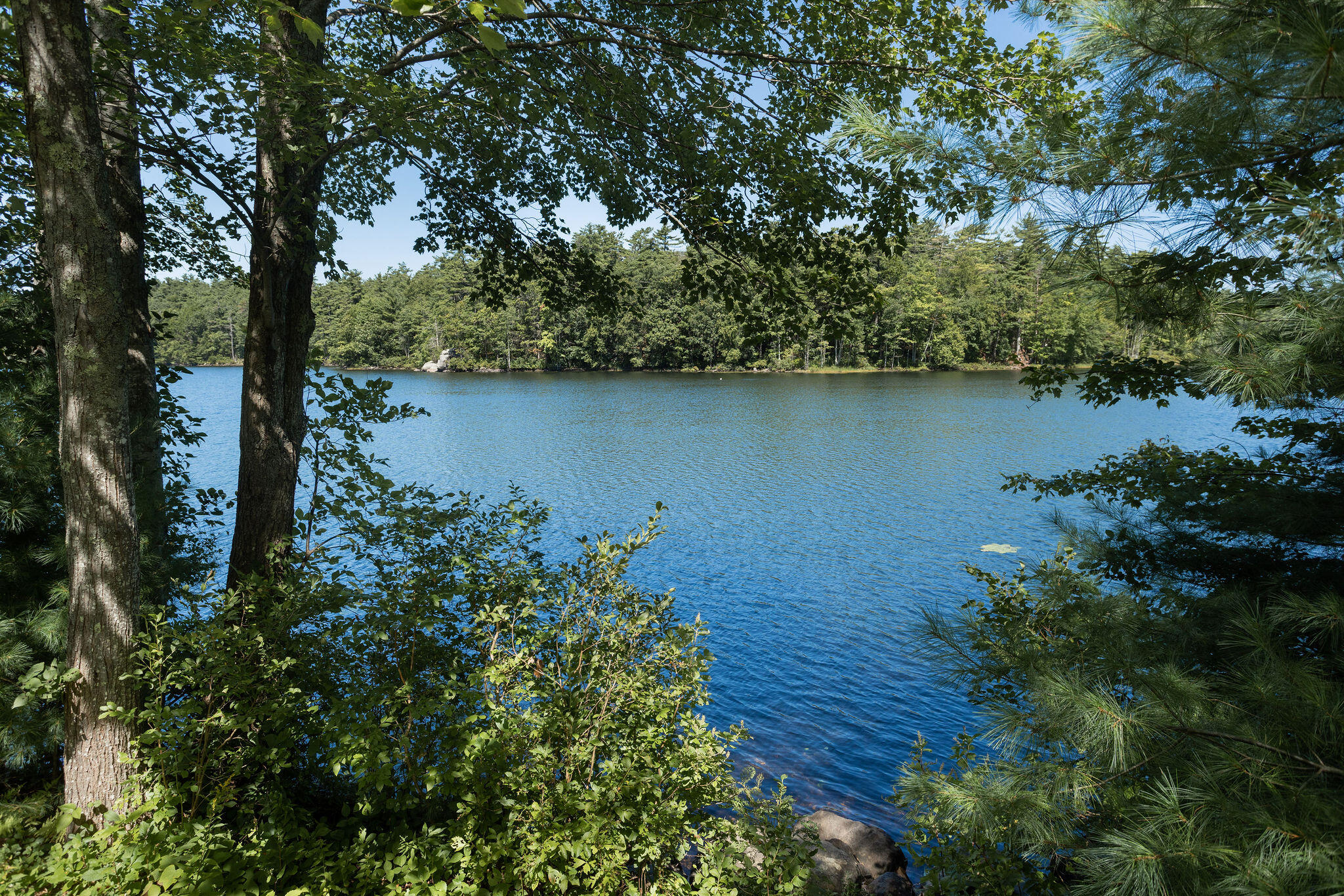 2 Pond View Drive York ME 03909