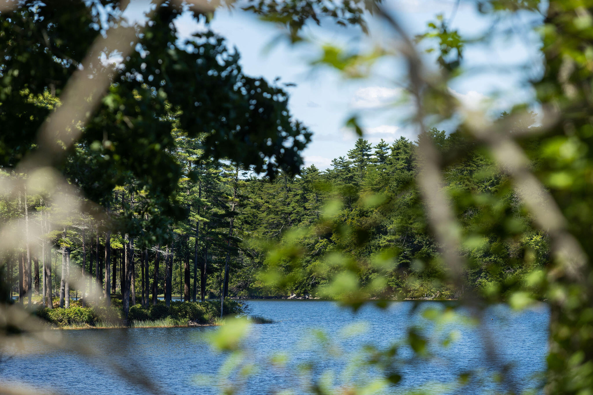 2 Pond View Drive York ME 03909