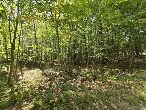 181 Wyman Hill Road Rumford ME 04276