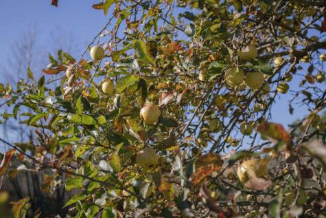 18 Belanger Road Jay ME 04239