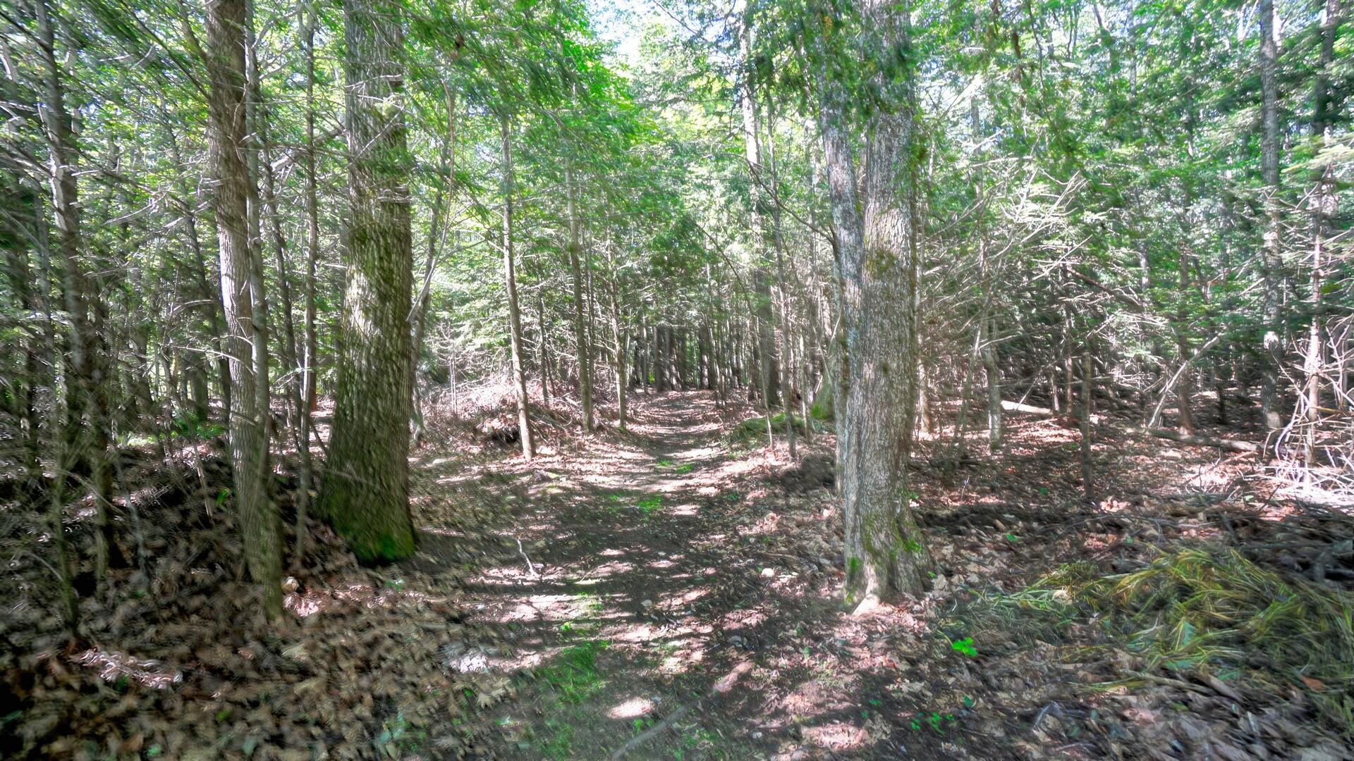 7 Polliwog Lane Gorham ME 04038