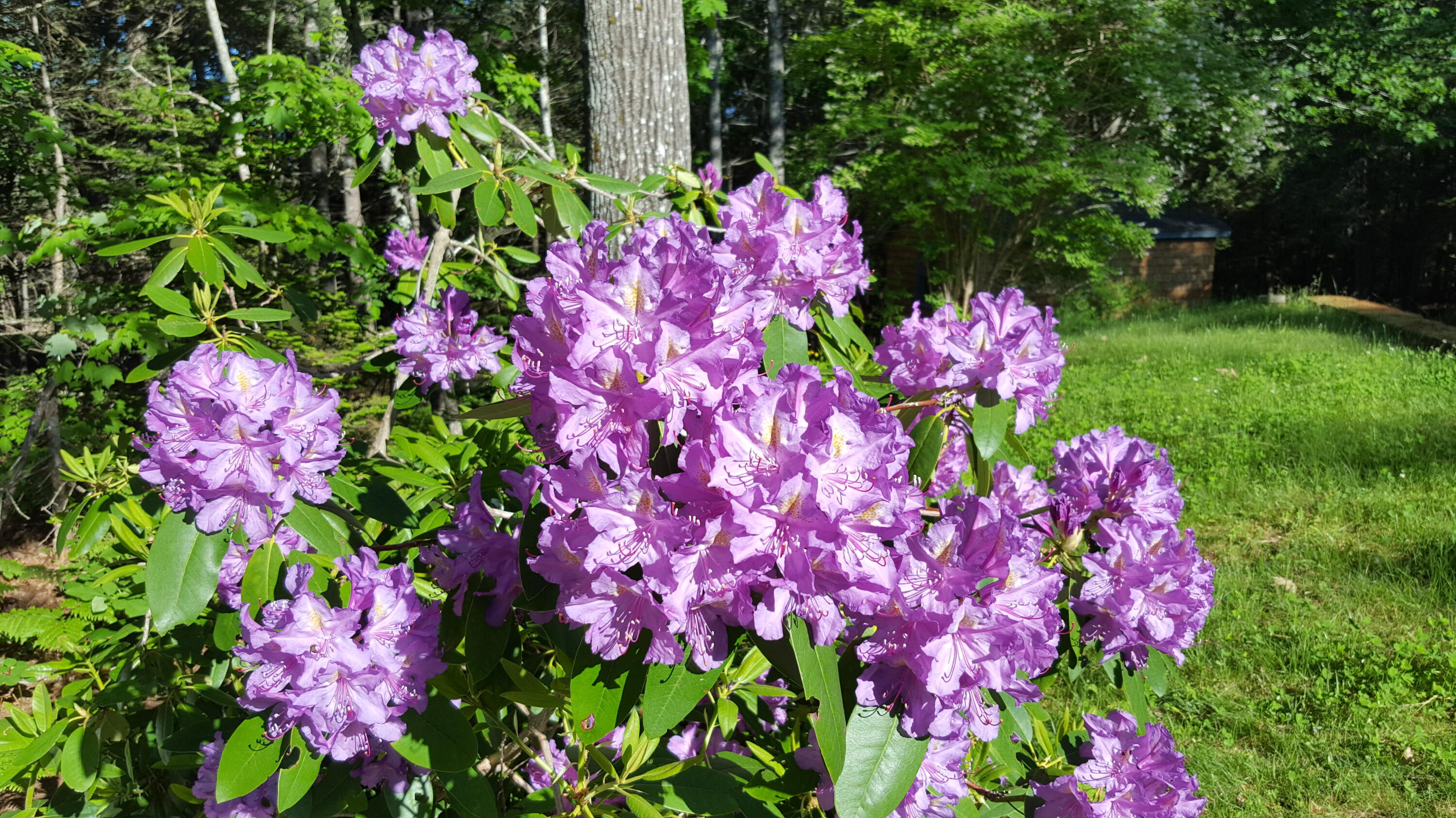 3 Rocky Road Westport Island ME 04578