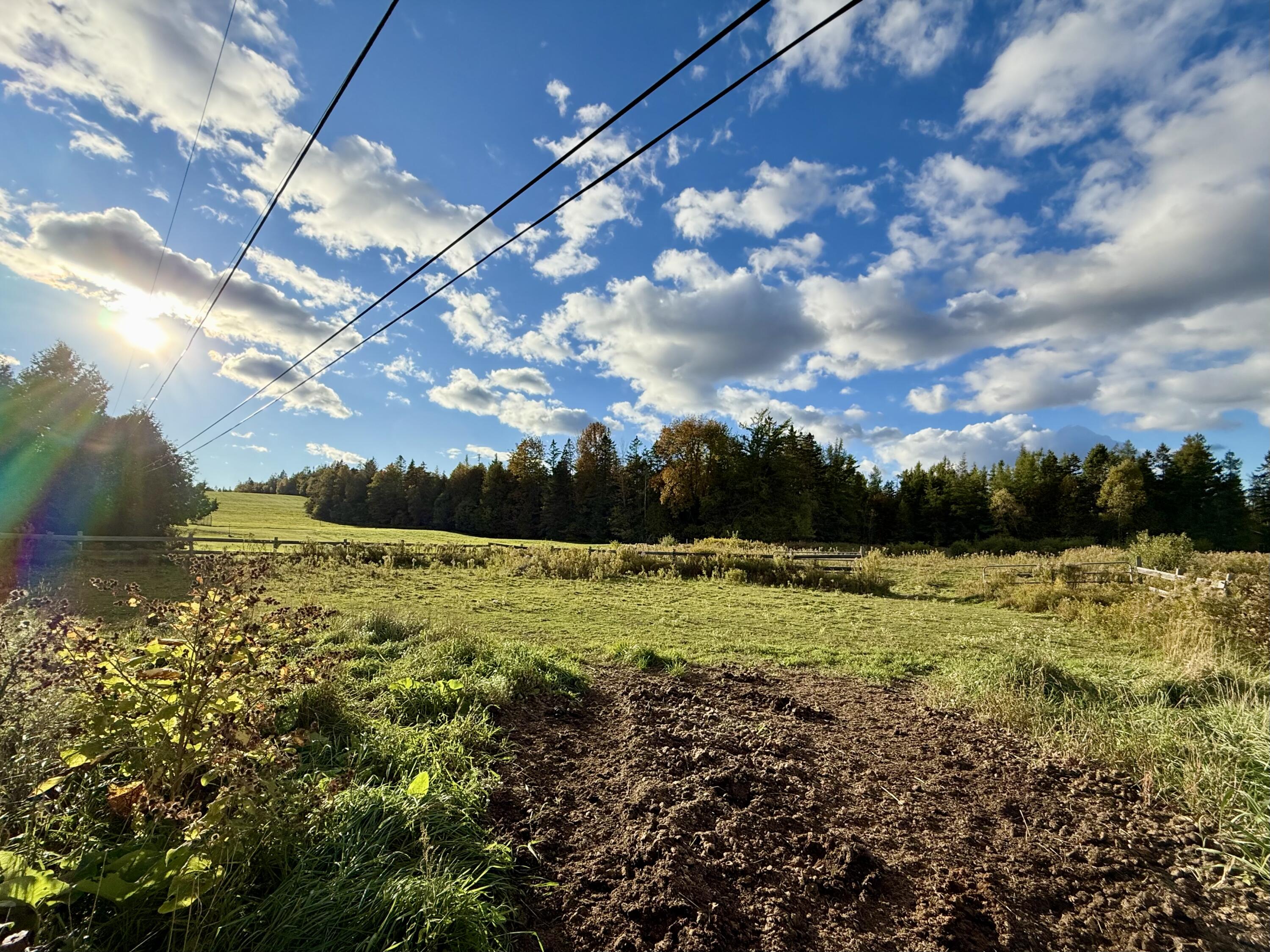 51 Reardon Lane Calais ME 04619