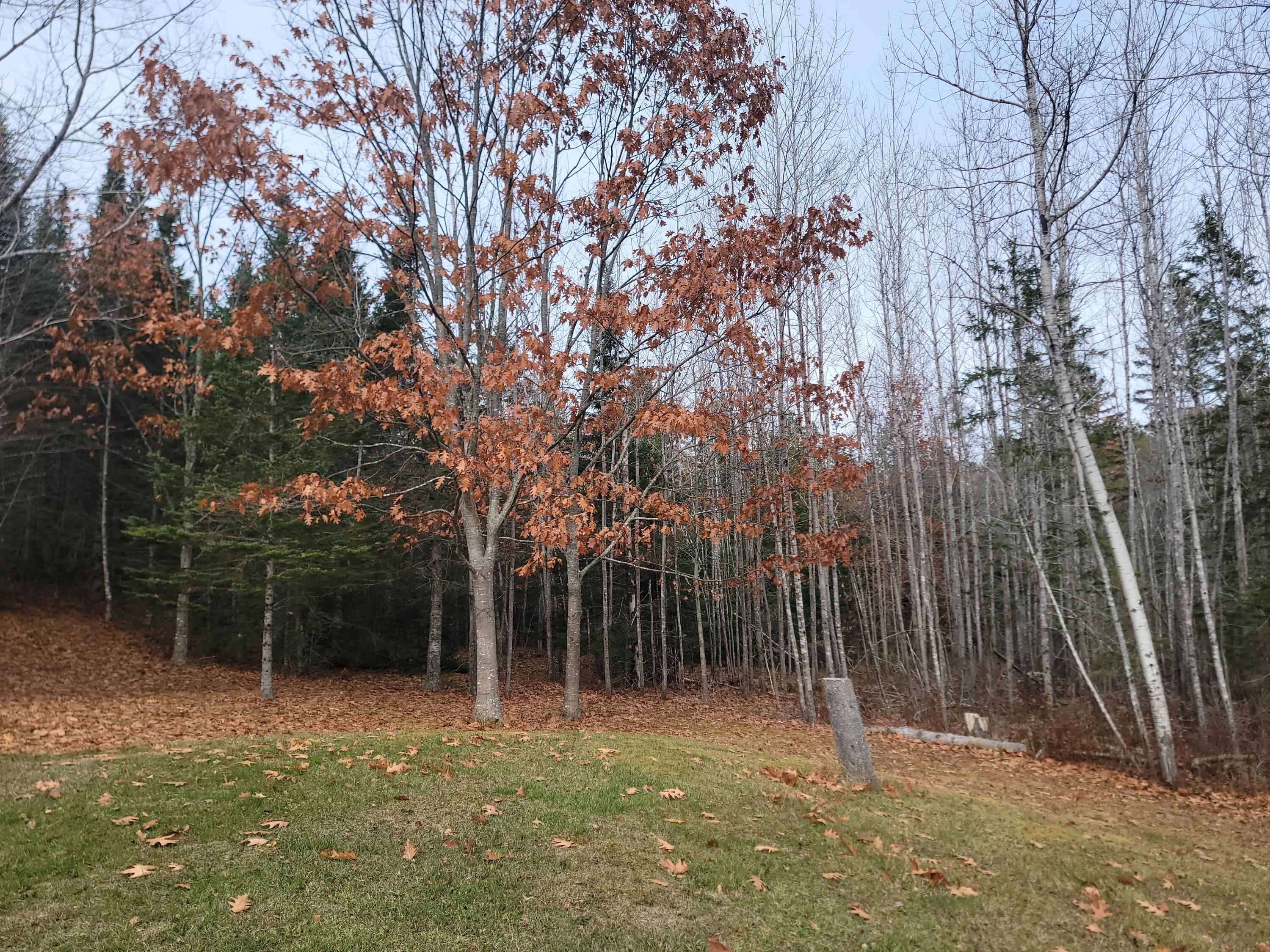 130 Shipyard Road Dennysville ME 04628