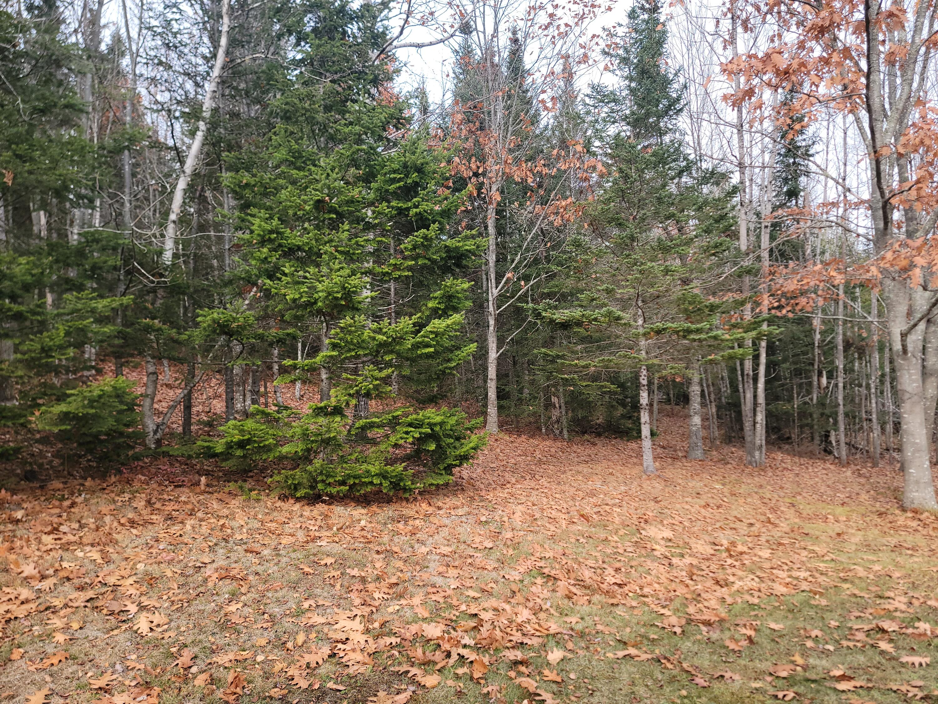 130 Shipyard Road Dennysville ME 04628