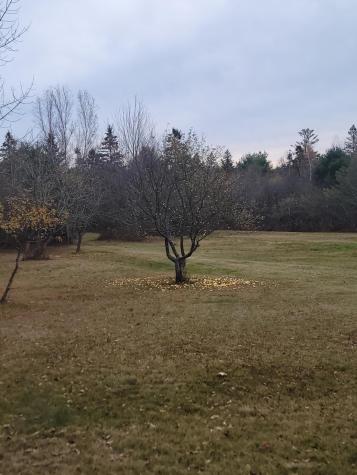 130 Shipyard Road Dennysville ME 04628