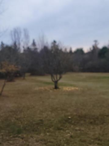 130 Shipyard Road Dennysville ME 04628