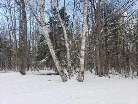 480 Greenwood Road Norway ME 04268