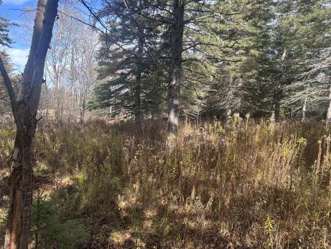 233 Porter Nadeau Road Eustis ME 04936