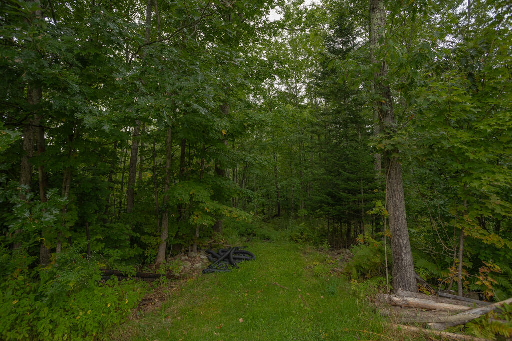 293 Franklin Road Jay ME 04239