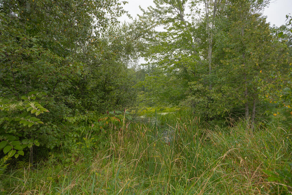 293 Franklin Road Jay ME 04239