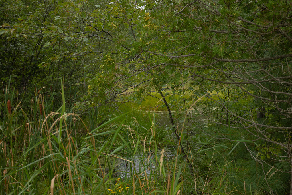 293 Franklin Road Jay ME 04239