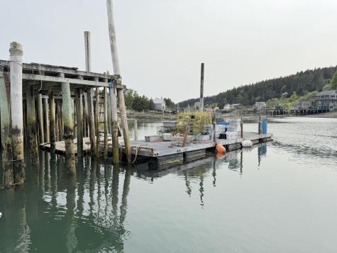 65 East Shore Road Frenchboro ME 04635