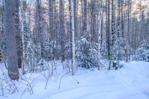 121 Wildwood Road Bridgton ME 04009