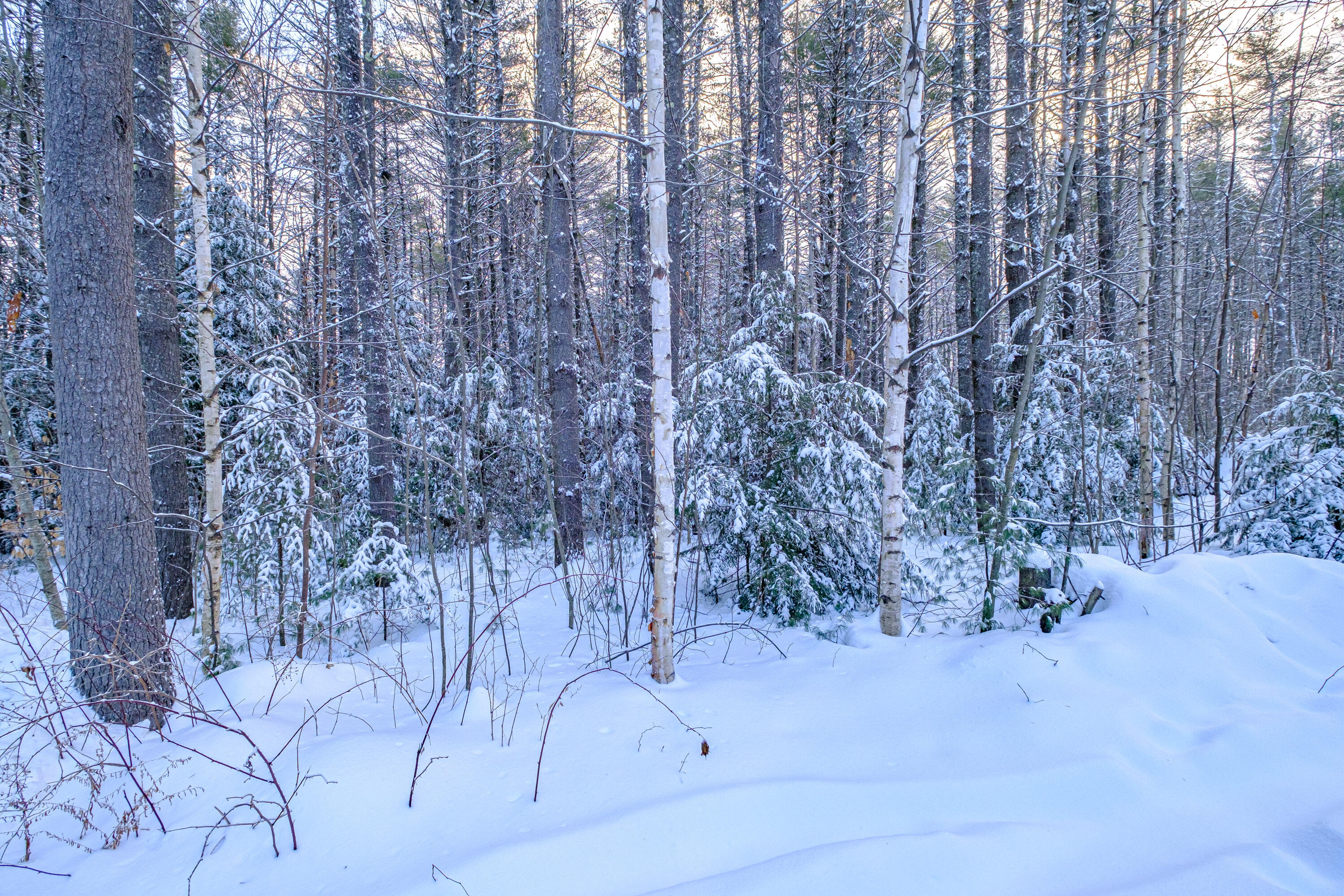 121 Wildwood Road Bridgton ME 04009