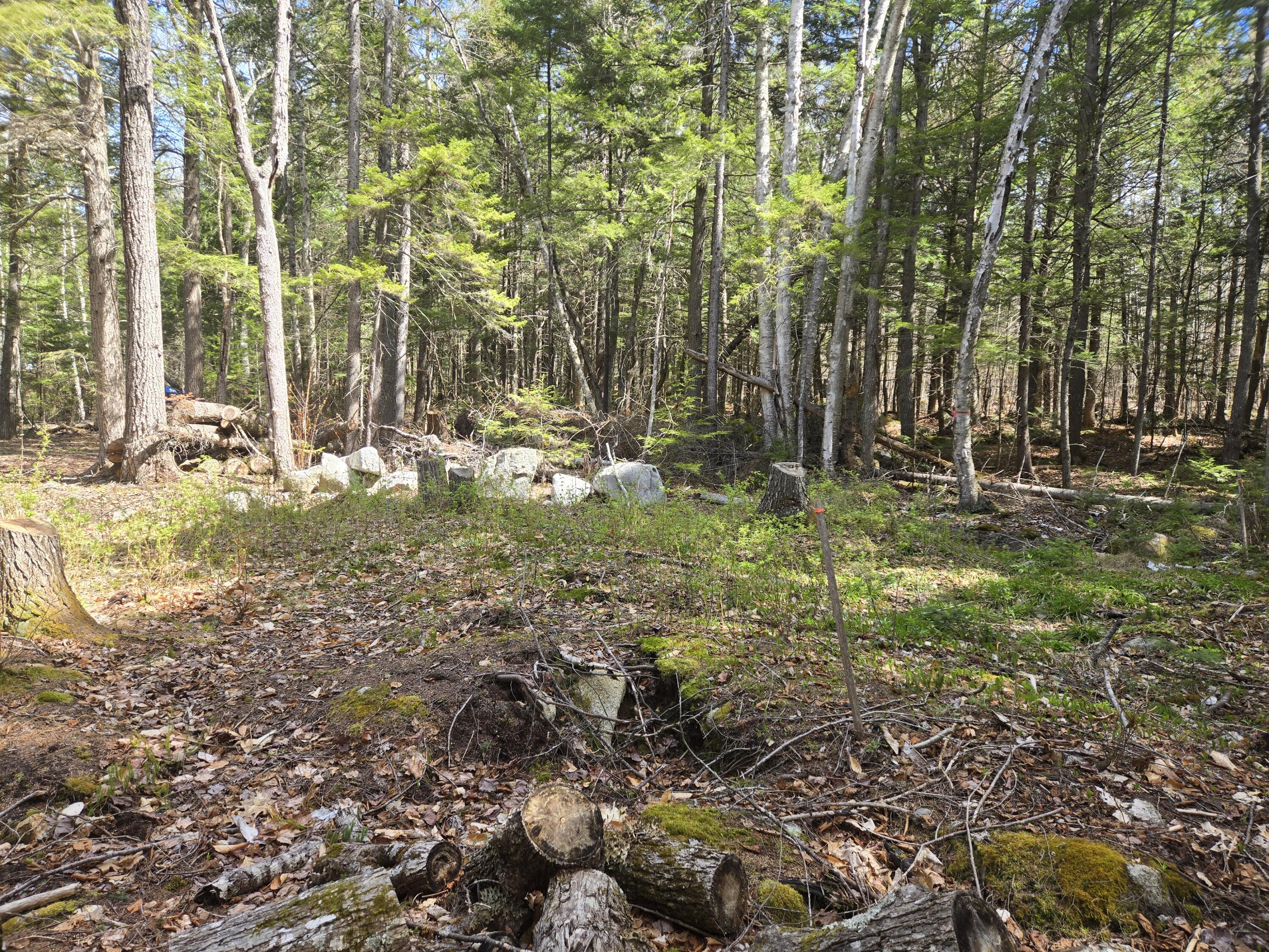 146 Thoroughfare Road Island Falls ME 04747