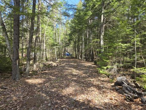 146 Thoroughfare Road Island Falls ME 04747